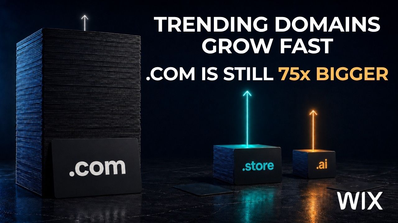 In Wix’s Report, .store Doubled and .ai Cracked the Top 10. Zone Files Rank Them 24th and 39th